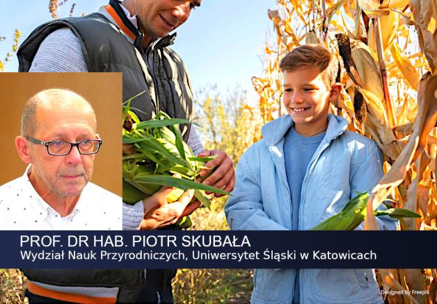[VIDEO] Rośnie liczba producentów ekologicznych zarówno w Polsce, jak i innych krajach Unii. Wciąż jednak jest to ułamek produkcji rolnej